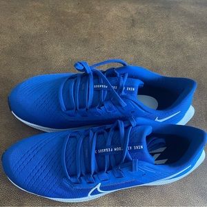 Nike Air Zoom Pegasus 38 TB